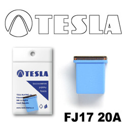 FJ1720A Tesla