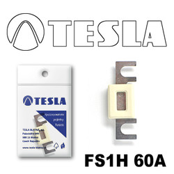 FS1H60A Tesla