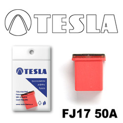 FJ1750A Tesla